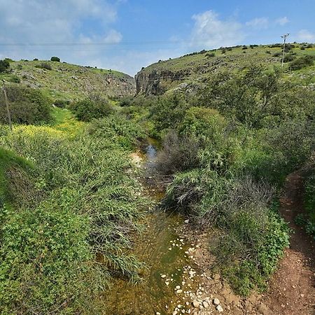 Mul Kinneret Livnim Luaran gambar