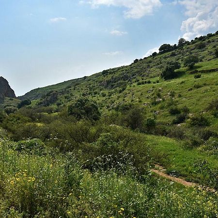 Mul Kinneret Livnim Luaran gambar