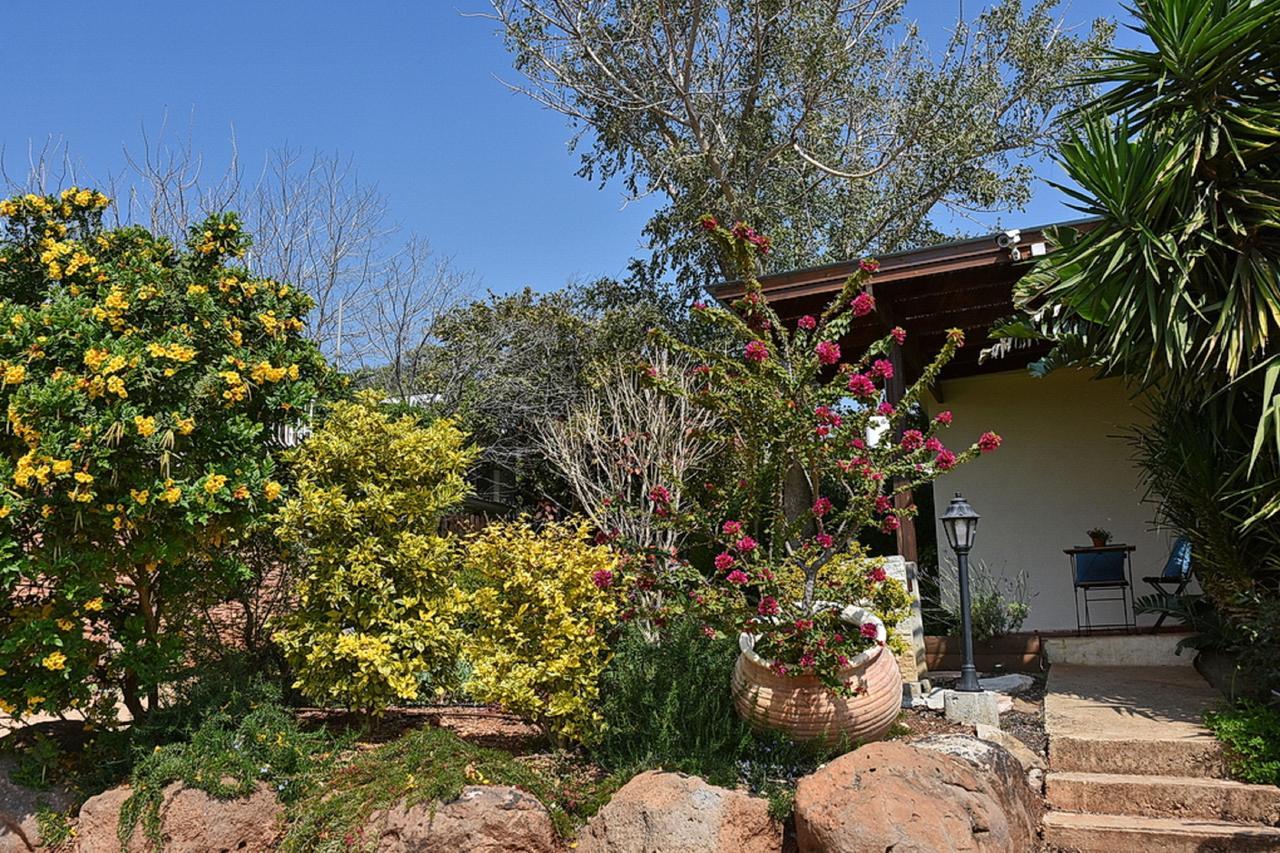 Mul Kinneret Livnim Luaran gambar