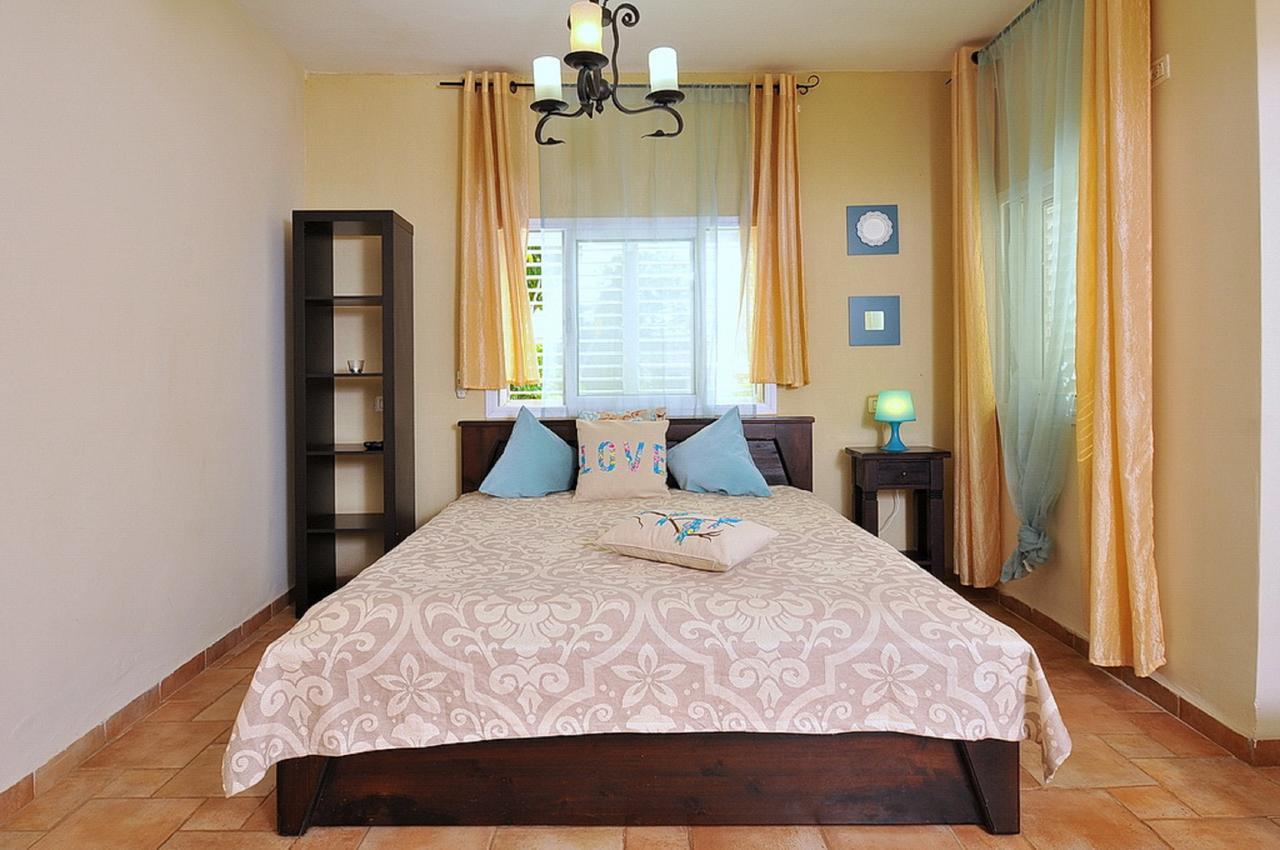 Mul Kinneret Livnim Luaran gambar