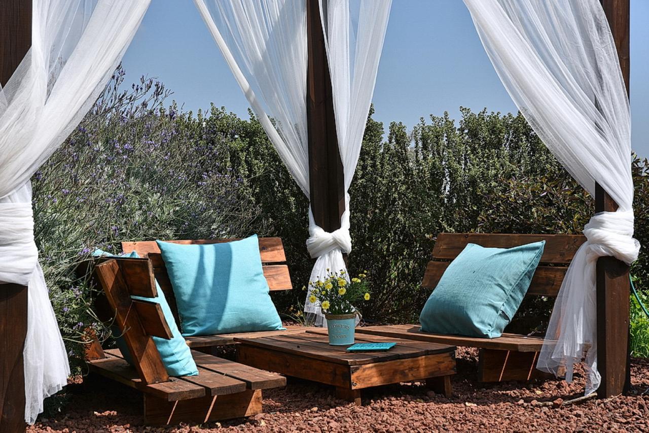 Mul Kinneret Livnim Luaran gambar