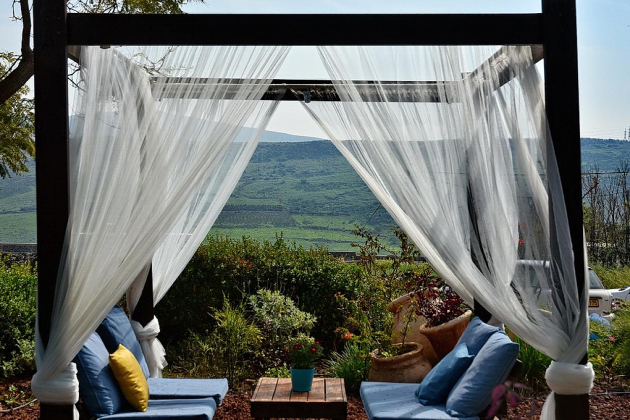 Mul Kinneret Livnim Luaran gambar