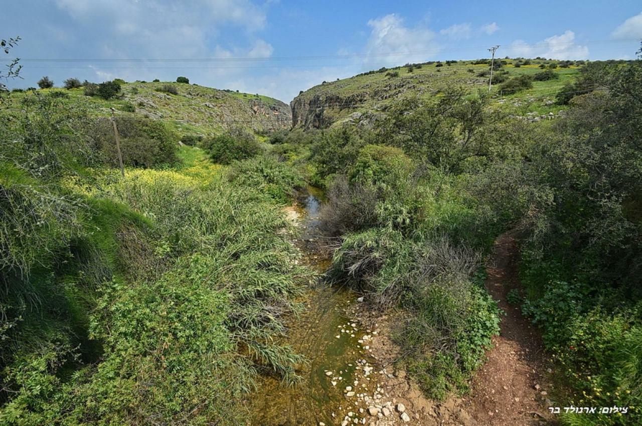 Mul Kinneret Livnim Luaran gambar