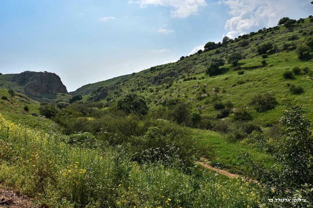 Mul Kinneret Livnim Luaran gambar