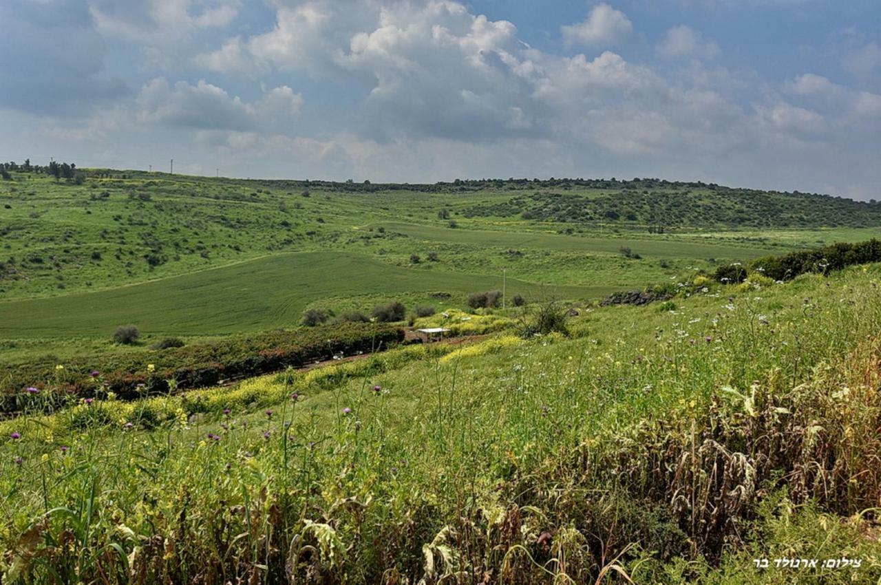Mul Kinneret Livnim Luaran gambar