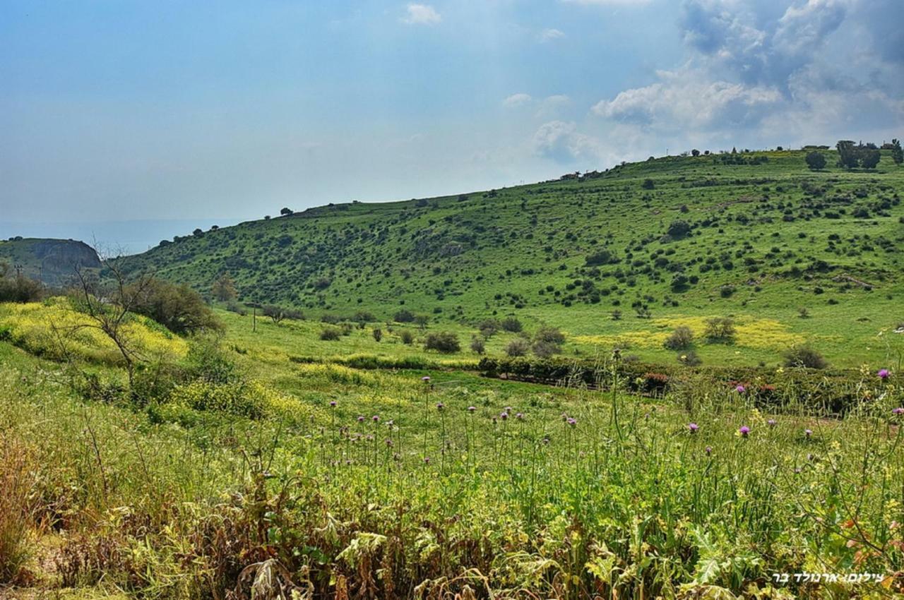 Mul Kinneret Livnim Luaran gambar