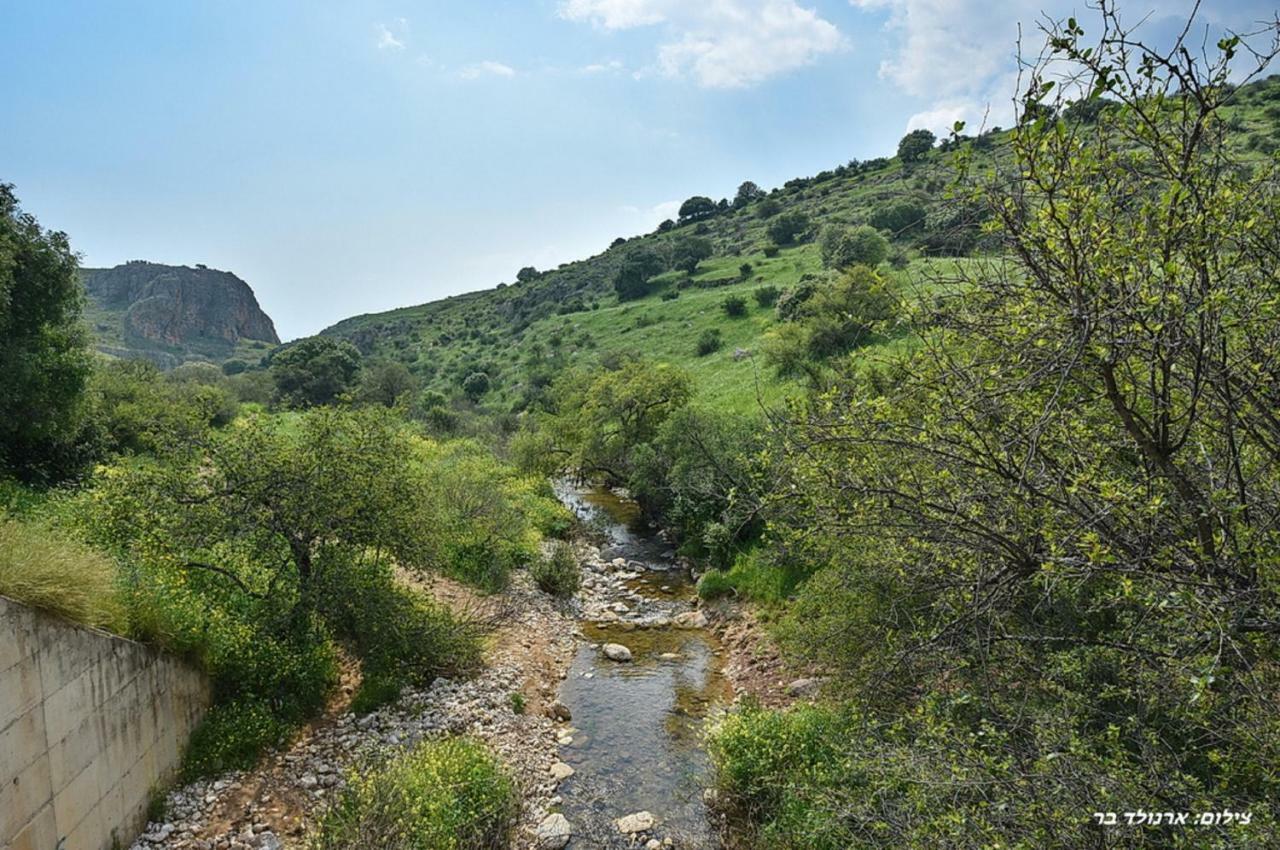 Mul Kinneret Livnim Luaran gambar
